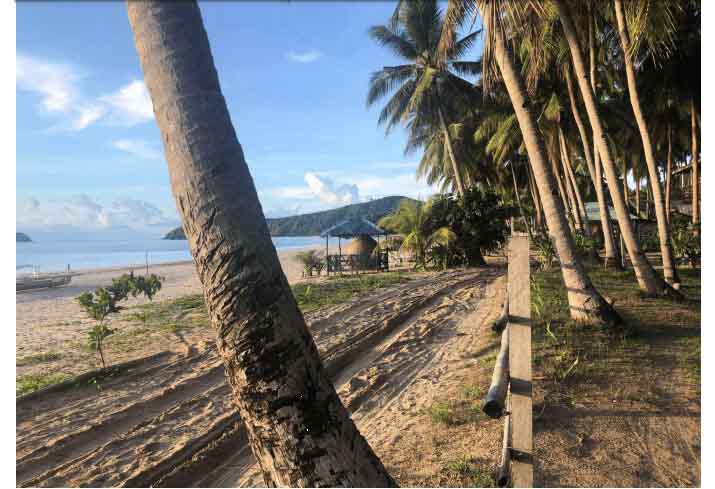 Beach-front Lot for Sale in Brgy. Bucana, El Nido, Palawan